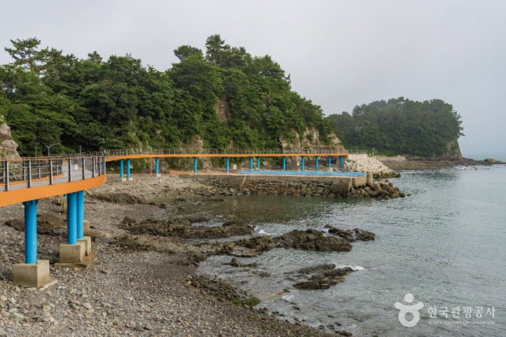 남일대 코끼리 바위 여행 추천 - 메고지고