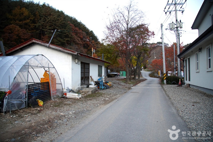 홍천_살둔마을_4_공공3유형.jpg