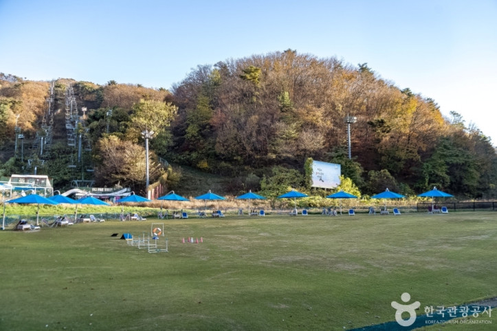 양지파인펫파크 여행 추천 - 메고지고