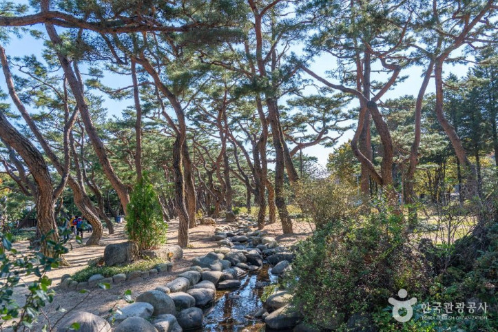 의림지 솔밭공원 여행 추천 - 메고지고