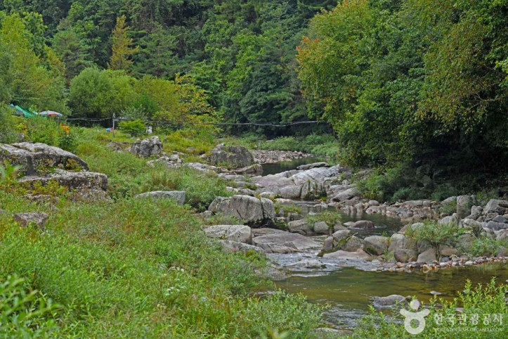 흥정계곡_4_공공3유형.JPG