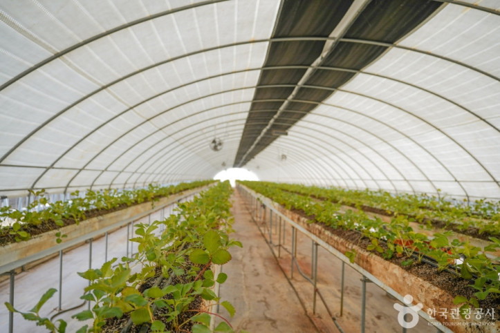 널위한딸기농장_1_공공3유형.jpg