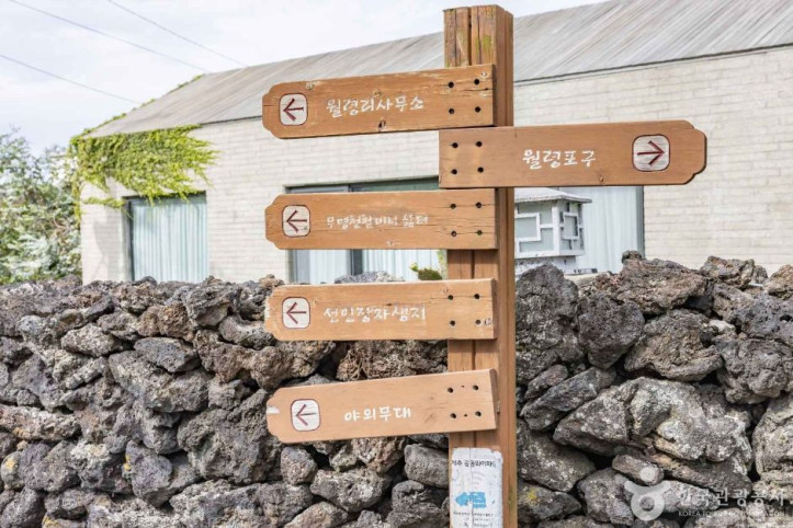 제주선인장마을_7_공공3유형.jpg