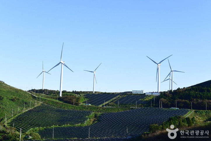 활성산_풍력발전단지_6_공공3유형.jpg