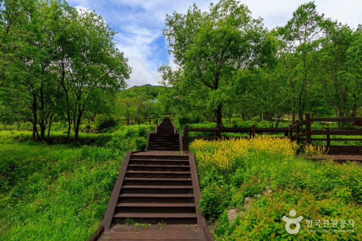 국립DMZ자생식물원_4_공공1유형.jpg