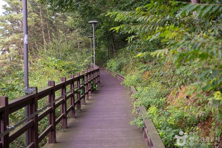 헤이리무장애노을숲길_3_공공3유형.jpg