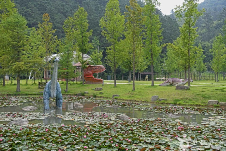 담양 메타세쿼이아길 여행 추천 - 메고지고