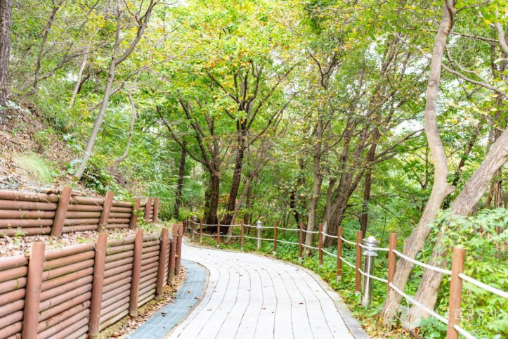 아산 영인산자연휴양림 여행 추천 - 메고지고