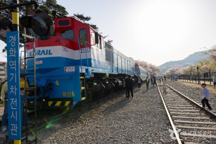 경화역_벚꽃길_5_공공1유형.jpg