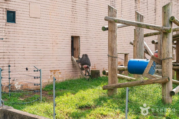 전주동물원_3_공공1유형.jpg