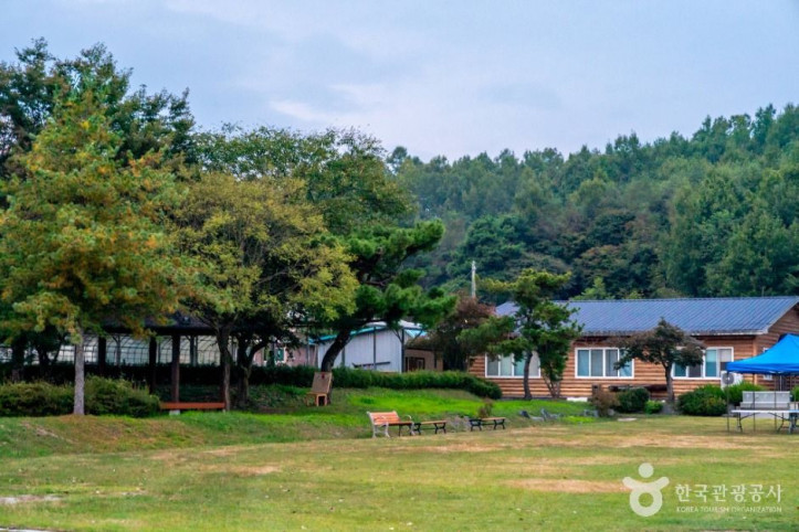 교촌농촌체험학교 여행 추천 - 메고지고