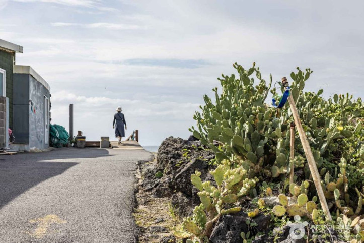 제주선인장마을_4_공공3유형.jpg