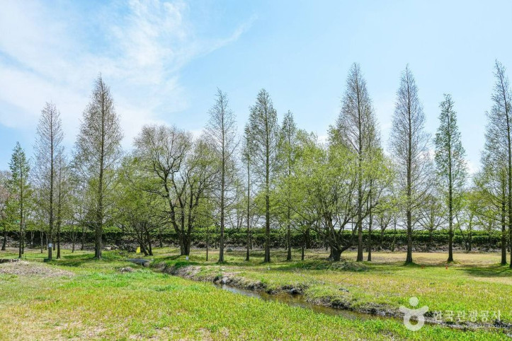 신라왕경숲_1_공공1유형.jpg