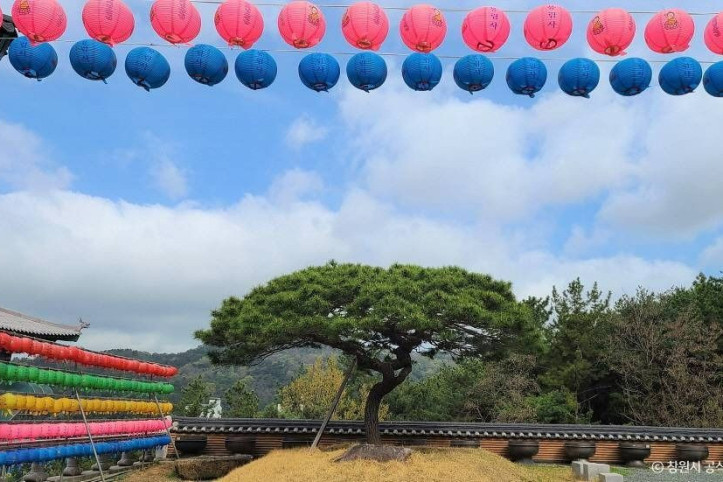 봉림사(창원) 여행 추천 - 메고지고