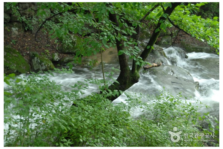 갑사계곡_4_공공3유형.jpg