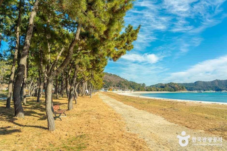 통리해수욕장_2_공공1유형.jpg