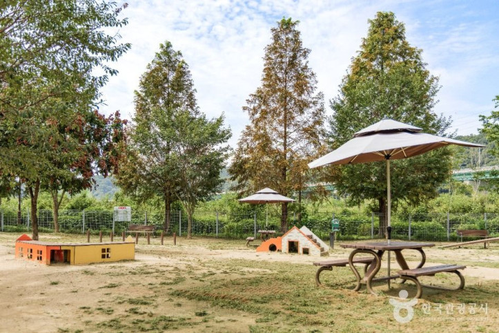 기흥레스피아호수공원_반려동물놀이터_1_공공1유형.jpg