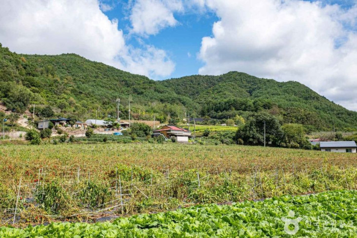 영양_두메송하마을_2_공공3유형.jpg