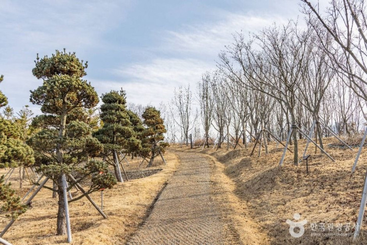 충주 시민의 숲 여행 추천 - 메고지고