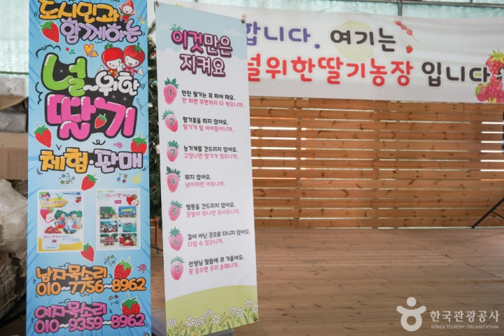 널위한딸기농장_2_공공3유형.jpg
