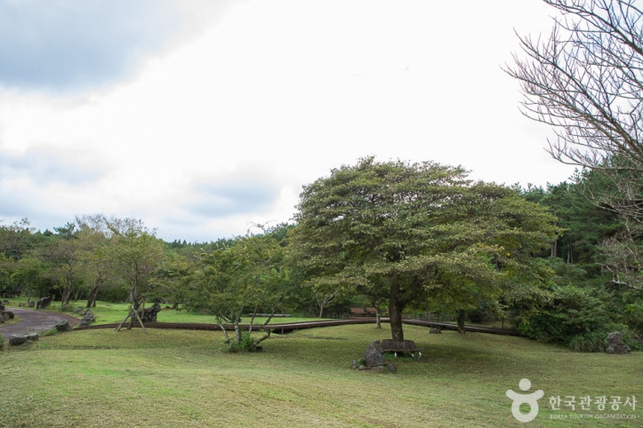 붉은오름자연휴양림_10_공공3유형.jpg