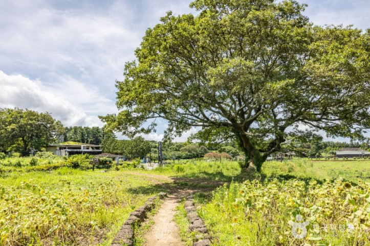 제주_항파두리_항몽_유적_2_공공1유형.jpg