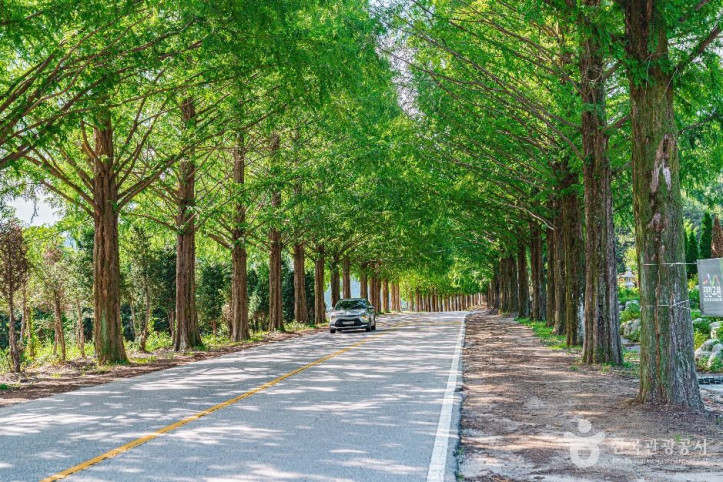 부귀_메타세쿼이아길_6_공공1유형.jpg