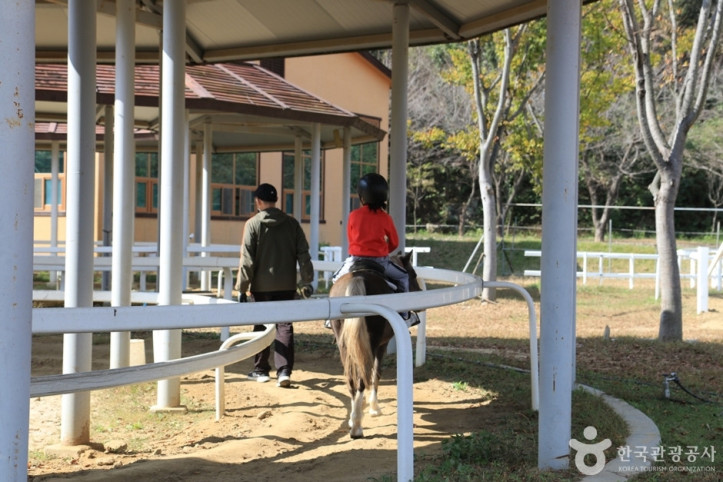 대가야기마문화체험장_6_공공3유형.JPG