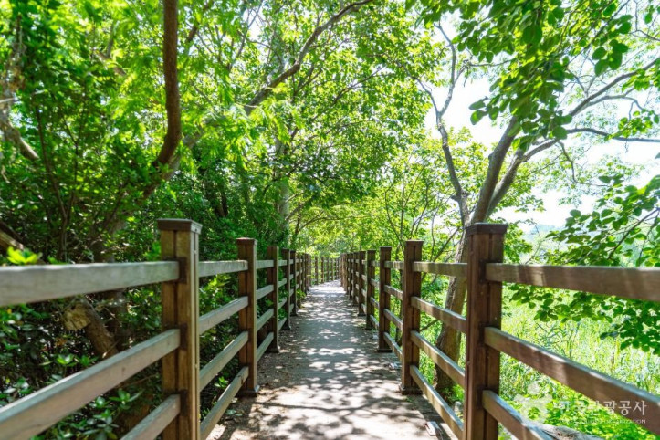 안터생태공원_4_공공1유형.jpg