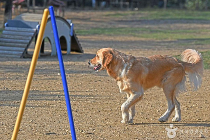 광교호수공원_반려견_놀이터_5_공공3유형.JPG