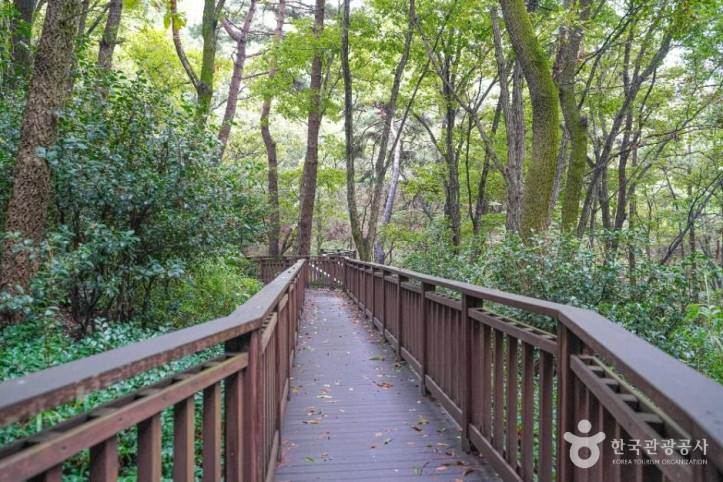 백양산_웰빙숲_1_공공1유형.jpg