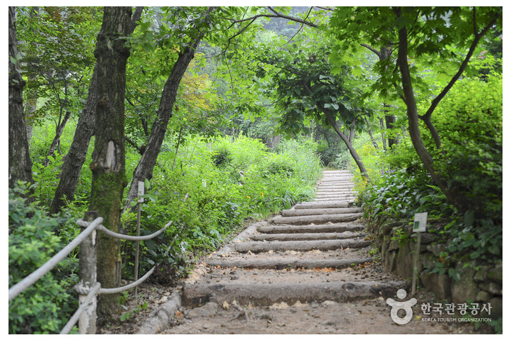 장흥자생수목원_4_공공3유형.jpg