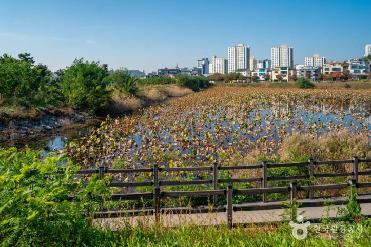 나불지_생태공원_4_공공1유형.jpg