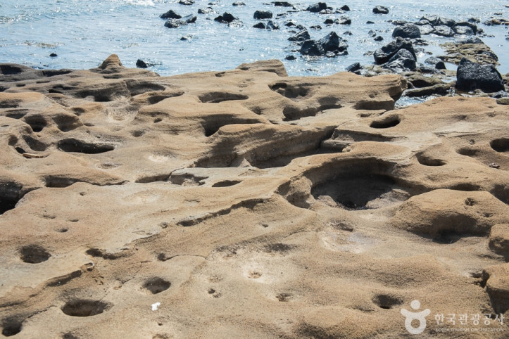 발자국화석공원_8_공공3유형.jpg