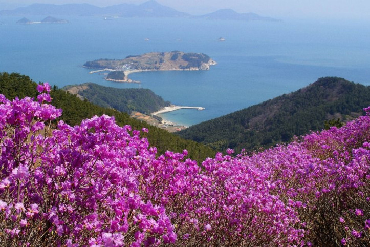 이수도 여행 추천 - 메고지고