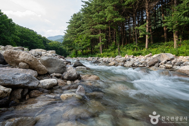 지장계곡_4_공공3유형.jpg