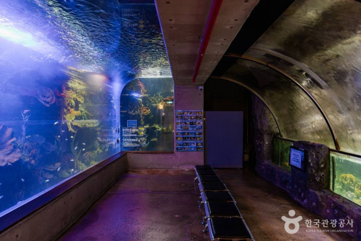 아라마루_아쿠아리움_3_공공1유형.jpg