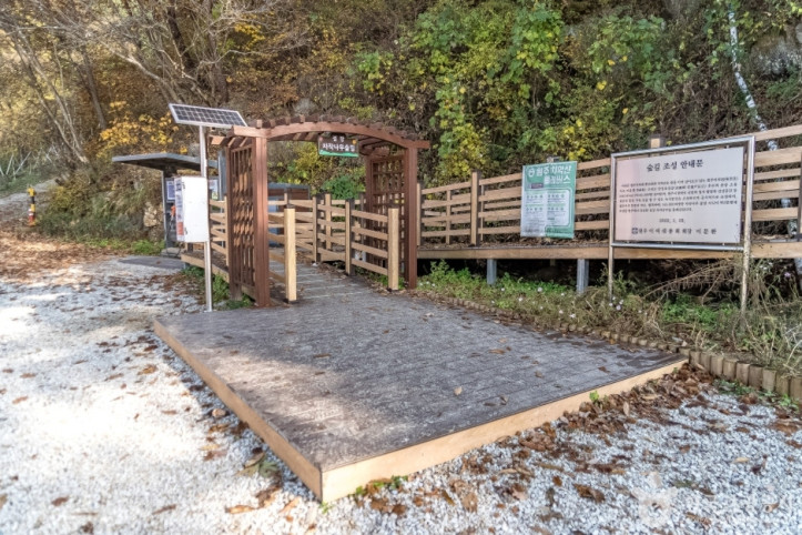 원주섬강자작나무숲둘레길_3_공공3유형.jpg