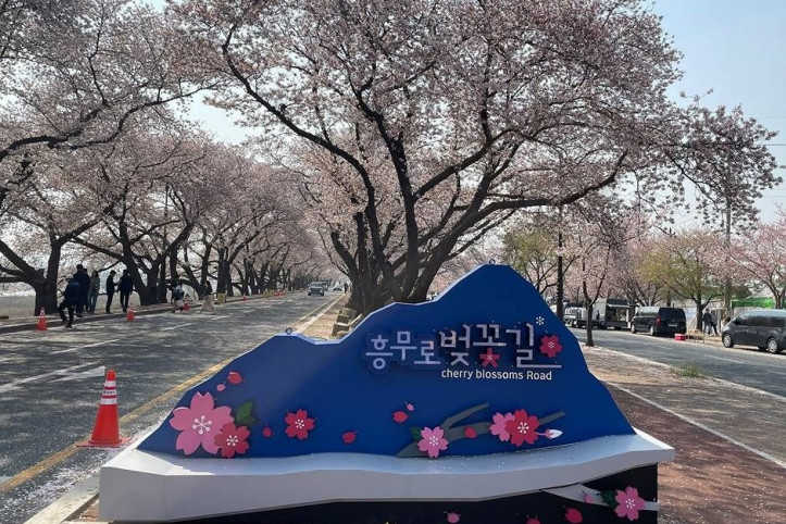 흥무로_벚꽃길_4_공공3유형.jpg