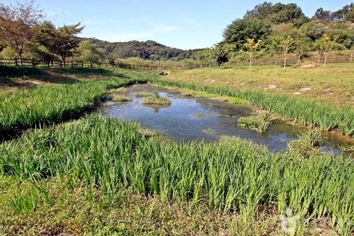 신지천_생태_습지_8_공공3유형.JPG