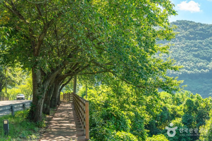 운문댐·운문호 여행 추천 - 메고지고