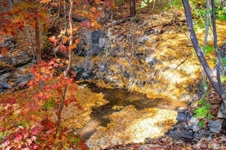 쇠점골계곡_2_공공3유형.jpg