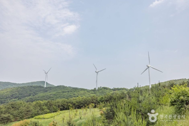 경주_풍력발전(바람의언덕)_3_공공1유형.jpg