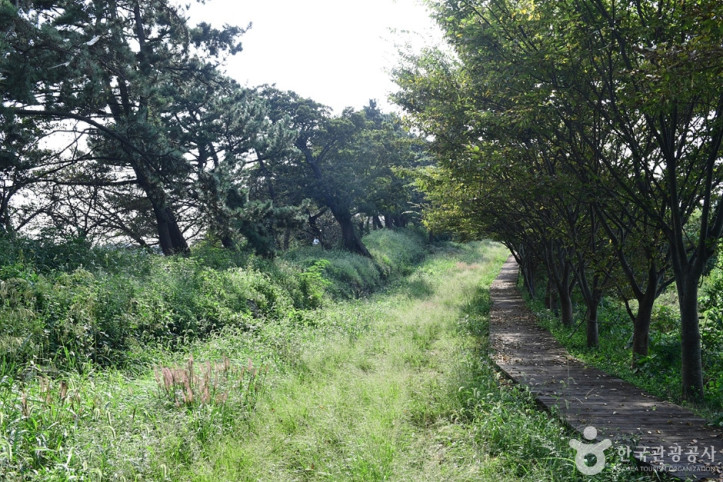 영광_법성진_숲쟁이_9_공공3유형.jpg