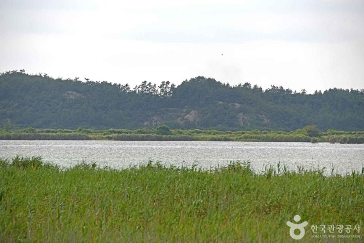 고천암호(철새도래지)_3_공공3유형.JPG