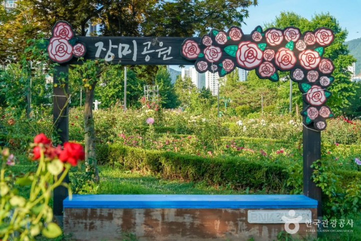 장미공원(창원) 여행 추천 - 메고지고
