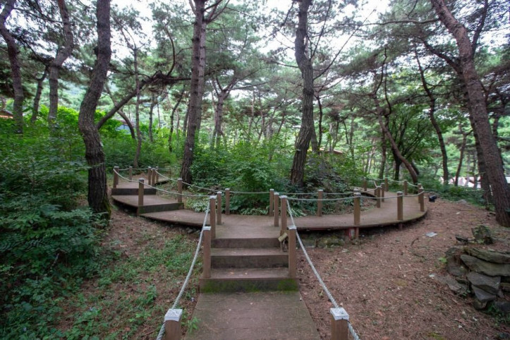 태학산자연휴양림 여행 추천 - 메고지고