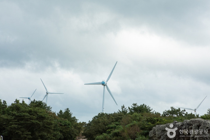 가시리국산화풍력발전단지_6_공공3유형.jpg