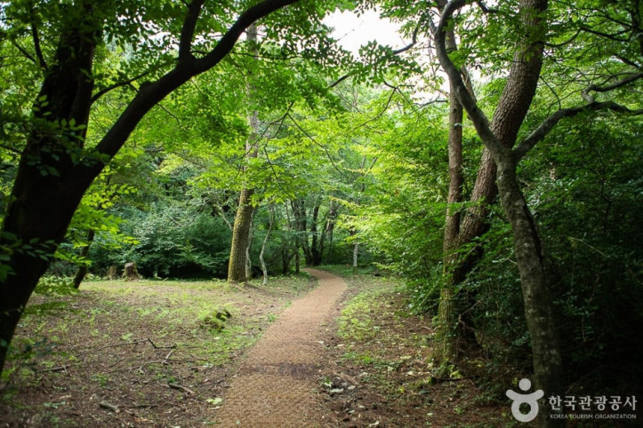 장생의숲길_1_공공3유형.jpg