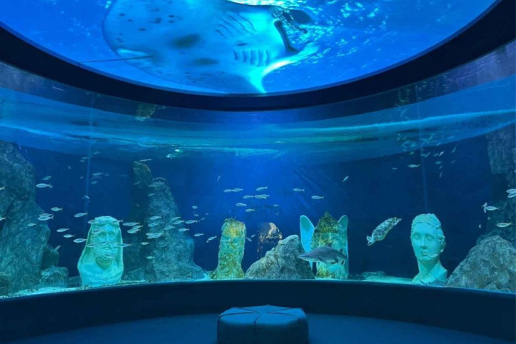대전_엑스포_아쿠아리움_3_공공3유형.jpg